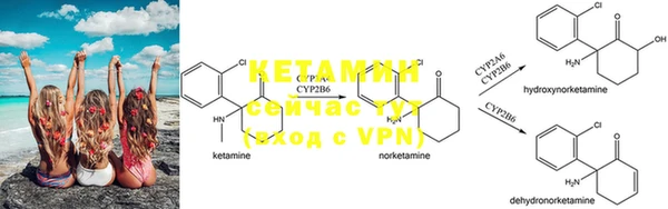 PSILOCYBIN Балахна